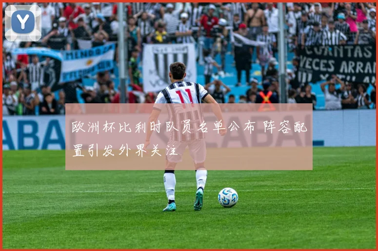 欧洲杯比利时队员名单公布 阵容配置引发外界关注